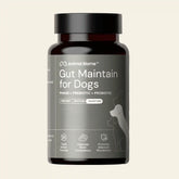 Gut Maintenance Plus Supplement