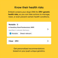 Breed + Health Dog DNA Test