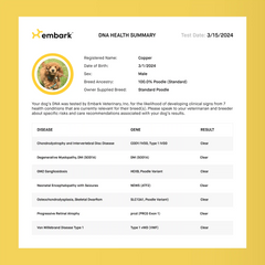 Embark for Breeders Litter Package
