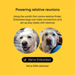 Purebred Dog DNA Test