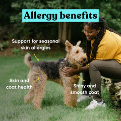 Allergy and Joint Supplement Bundle